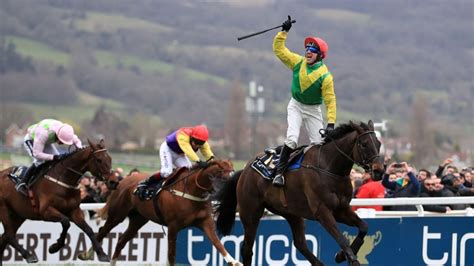 cheltenham races live streaming